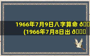 1966年7月9日八字算命 🕸 (1966年7月8日出 🐞 生女孩的命运)